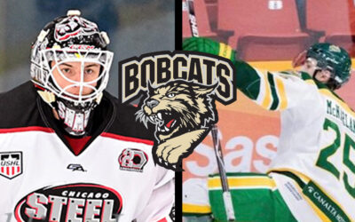 Bobcats Acquire Two in Trades