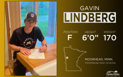 Bobcats Tender Moorhead Native Lindberg