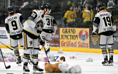 Annual Teddy Bear Toss Saturday