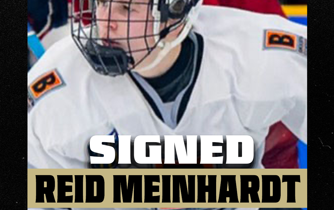 Bobcats Tender Reid Meinhardt