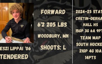 Forward Veszi Lippai Signs Tender with Bismarck Bobcats